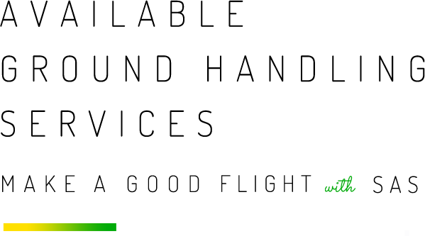 Available Ground Handling Services - make a good flight with SAS